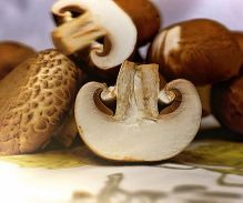 mushrooms-1167181_640